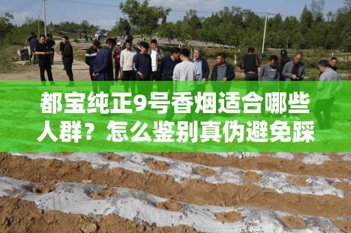 都宝纯正9号香烟适合哪些人群？怎么鉴别真伪避免踩坑？